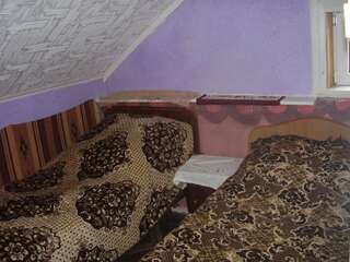 Гостевой дом Sadyba Irchik Сколе Двухместный номер с 2 отдельными кроватями-2